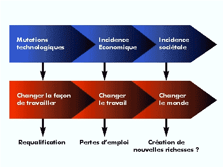 Figure IV : Les mutations 